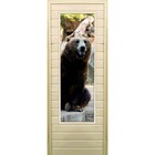 Дверь для бани со стеклом (43*129), "Медведь-5", 170×70см, коробка из осины - фото 299694872