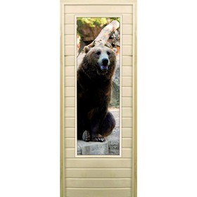 Дверь для бани со стеклом (43*129), "Медведь-5", 180×70см, коробка из осины