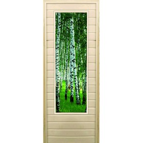 Дверь для бани со стеклом (43*129), "Березки", 170×70см, коробка из осины