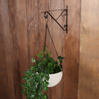 Кронштейн для кашпо, кованый, 30 см, металл, чёрный - Фото 2