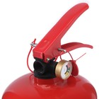 Огнетушитель порошковый "Атлант" ОП-4 (з), АВСЕ - Фото 4