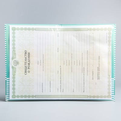 Свидетельство о рождении, Микки Маус и друзья (новый формат свидетельства)