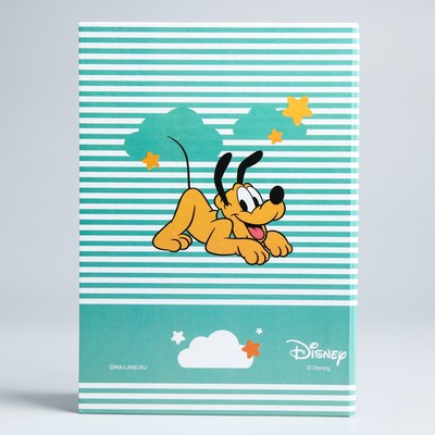 Свидетельство о рождении, Микки Маус и друзья (новый формат свидетельства)