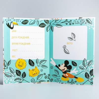 Свидетельство о рождении, Микки Маус (новый формат свидетельства)