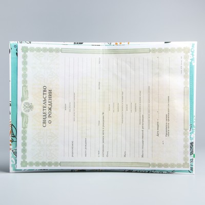 Свидетельство о рождении, Микки Маус (новый формат свидетельства)