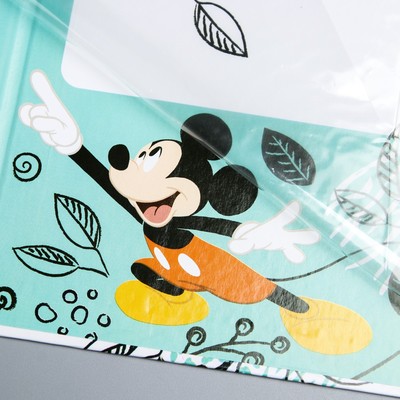 Свидетельство о рождении, Микки Маус (новый формат свидетельства)