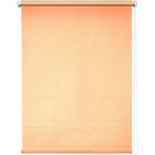 Рулонная штора «Плайн», 40 х 175 см, цвет лососевый - фото 294918686