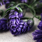 Декоративный хмель 6,5 см, фиолетовый - Фото 2