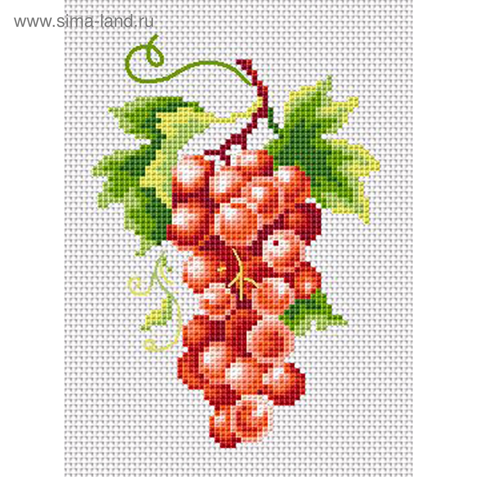 Бесплатная схема вышивки крестом «Гроздь винограда»