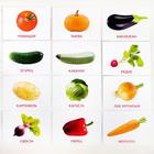 Обучающие карточки по методике Глена Домана «Овощи», 12 карт, А6, 3+ - Фото 4