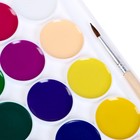 Акварель «Луч. ZOO», 24 цвета, с кистью - Фото 3