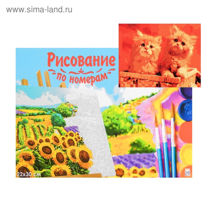 Картина по номерам на холсте 22 × 30 см, «Рыжие котята» - Фото 1