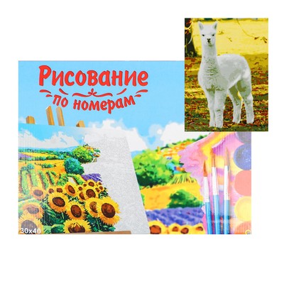 Картина по номерам на холсте 30 × 40 см, «Альпака»