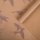 Бумага упаковочная крафтовая "Полёт птиц" 50х70 см - Фото 1