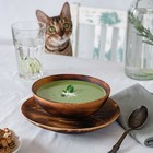 Набор деревянных тарелок Magistro, 2 шт.: 20×2.5 см, 16×6 см, из цельного кедра, обожжённые - Фото 1