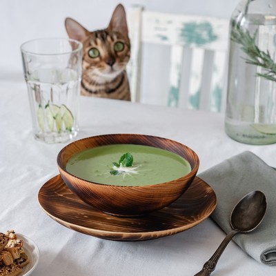 Набор деревянных тарелок Magistro, 2 шт.: 20×2.5 см, 16×6 см, из цельного кедра, обожжённые