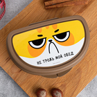 Бутербродница «Не трожь мой обед», 200 мл - Фото 3