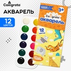 Акварель Calligrata, 12 цветов, без кисти, картон, МИКС - Фото 1