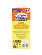 Акварель Calligrata, 12 цветов, без кисти, картон, МИКС - Фото 13