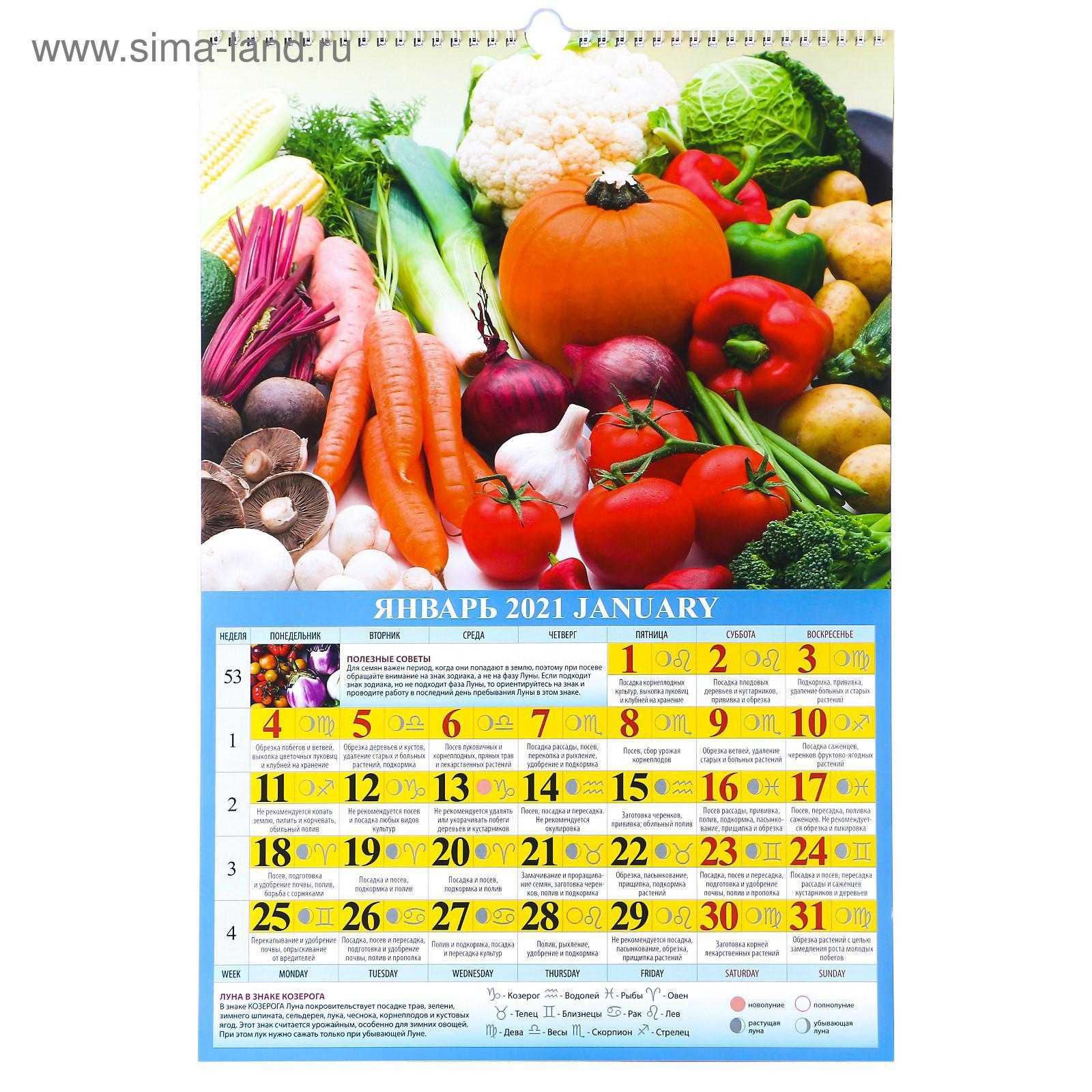 Садовый календарь на 2025 на январь Садовый календарь на 2025 на январь