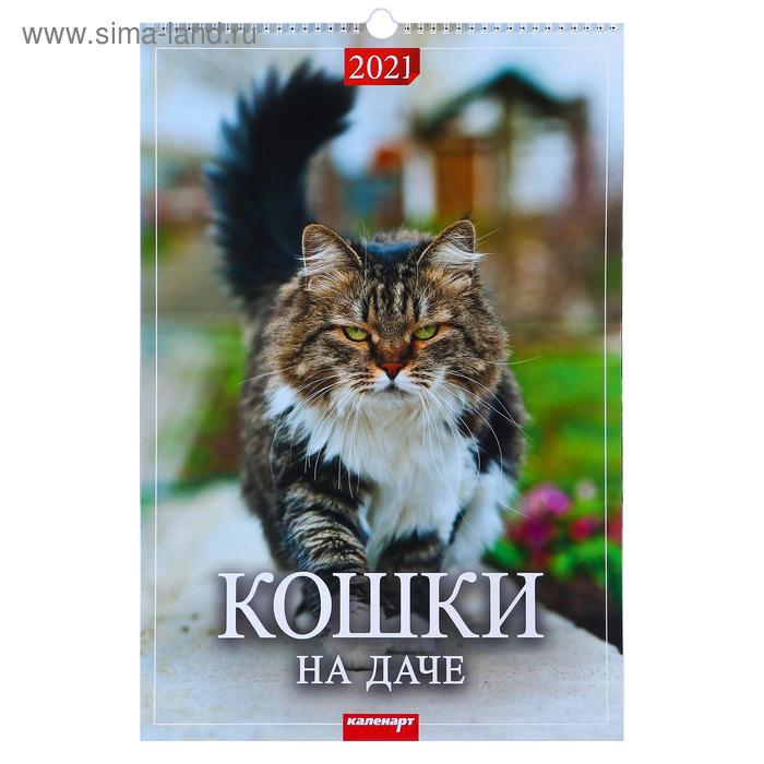 Календарь перекидной на ригеле "Кошки на даче" 2021 год, 320х480 мм - Фото 1