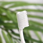 Набор дорожный: зубная паста Silcamed family, 30 г + зубная щётка Silcamed - Фото 11