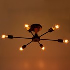 Люстра 80008/9 6×40 Вт Е27 черный/коричневый 81×71×28 см - фото 50380592