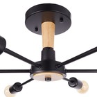 Люстра 80008/9 6×40 Вт Е27 черный/коричневый 81×71×28 см - фото 50380593