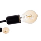 Люстра 80008/9 6×40 Вт Е27 черный/коричневый 81×71×28 см - фото 50380594