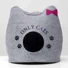 Домик для животных «Ушастик ONLY CATS», 46×46×43 см, войлок, серый - Фото 1