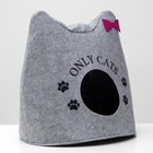 Домик для животных «Ушастик ONLY CATS», 46×46×43 см, войлок, серый - Фото 2