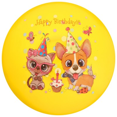 Мяч детский ZABIAKA, d=22 см, МИКС