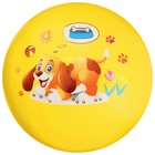 Мяч детский «Животные», d=22 см, 60 г, цвет МИКС - Фото 12