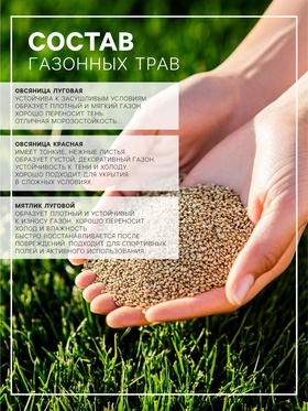 Газонная травосмесь «Красотень Гном», 0.5 кг