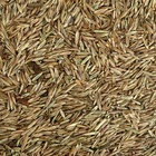 Газонная травосмесь «Красотень Гном», 0.5 кг - Фото 10