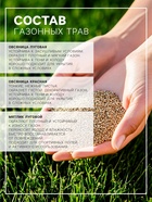 Газонная травосмесь «Красотень», «Гном» 1 кг - Фото 2