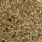 Газонная травосмесь «Красотень», «Гном» 1 кг - Фото 10