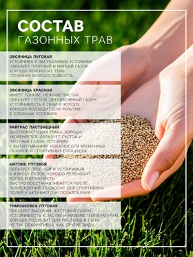 Газонная травосмесь «Детский» 5 кг