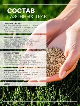Газонная травосмесь «Мавританский » 0.5 кг