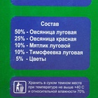 Газонная травосмесь «Мавританский » 0.5 кг 5088764 - фото 16357764