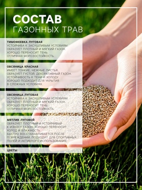 Газонная травосмесь «Мавританский » 1.0 кг