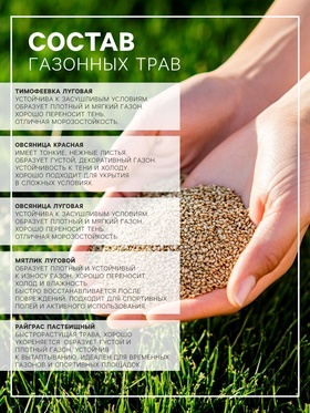 Газонная травосмесь «Спортивный» 5 кг