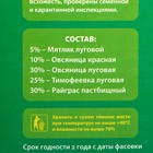 Газон "Красотень", универсальный, 0,5 кг - Фото 2