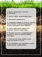 Газонная травосмесь «Универсальный» 0.5 кг 5088771 - фото 16584072