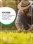 Газонная травосмесь «Детский» 0.5 кг 5088774 - фото 16357799