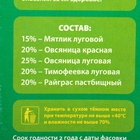 Газонная травосмесь «Детский» 0.5 кг 5088774 - фото 16357802