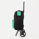 Сумка-тележка хозяйственная на молнии, 2 наружных кармана, цвет чёрный/зелёный - фото 21073455