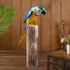 Сувенир "Попугай" дерево 10х15х50 см - фото 8999838