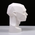 Гипсовая фигура анатомическая: обрубовка головы по Асаро, 17 х 23 х 33,5 см - фото 8528381