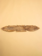 Панно «Парящая сова», 100×1.5×20 см, дерево - фото 59760910